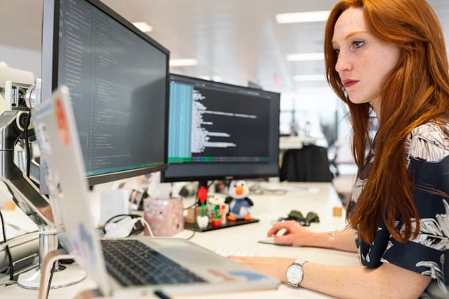 Project Developers